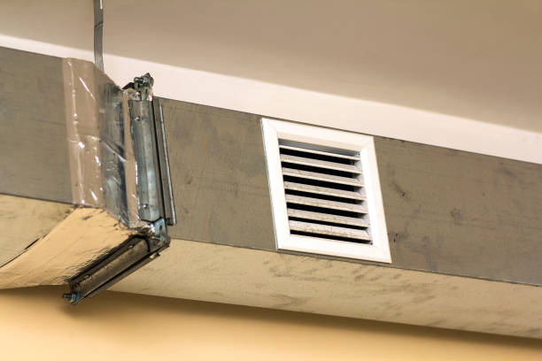 Best Professional Duct Cleaning Services  in La Grange, NC